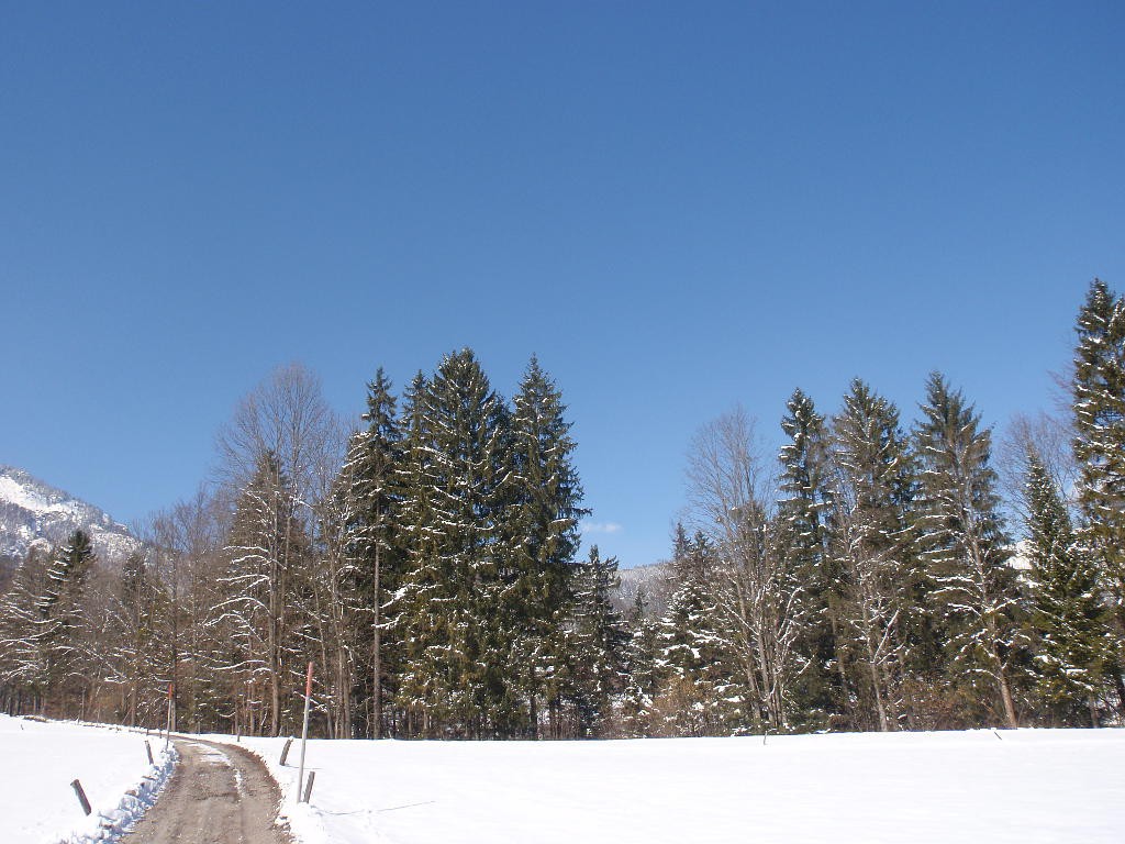 Verschneite Winterlandschaft